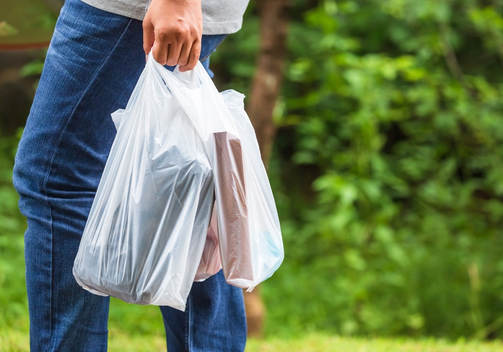 What’s the difference between compostable bags and regular plastic bags?