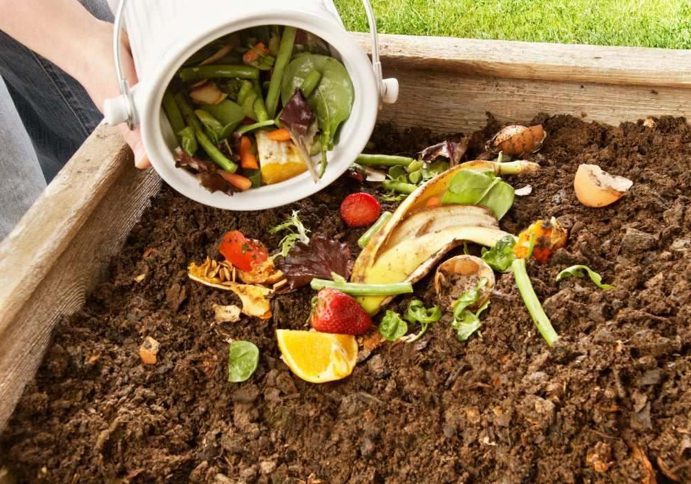 Turning Green Waste into Black Gold: A Step-by-Step Guide to Setting Up Your Home Compost