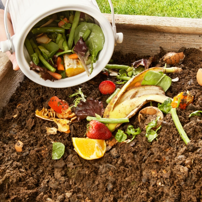 Turning Green Waste into Black Gold: A Step-by-Step Guide to Setting Up Your Home Compost