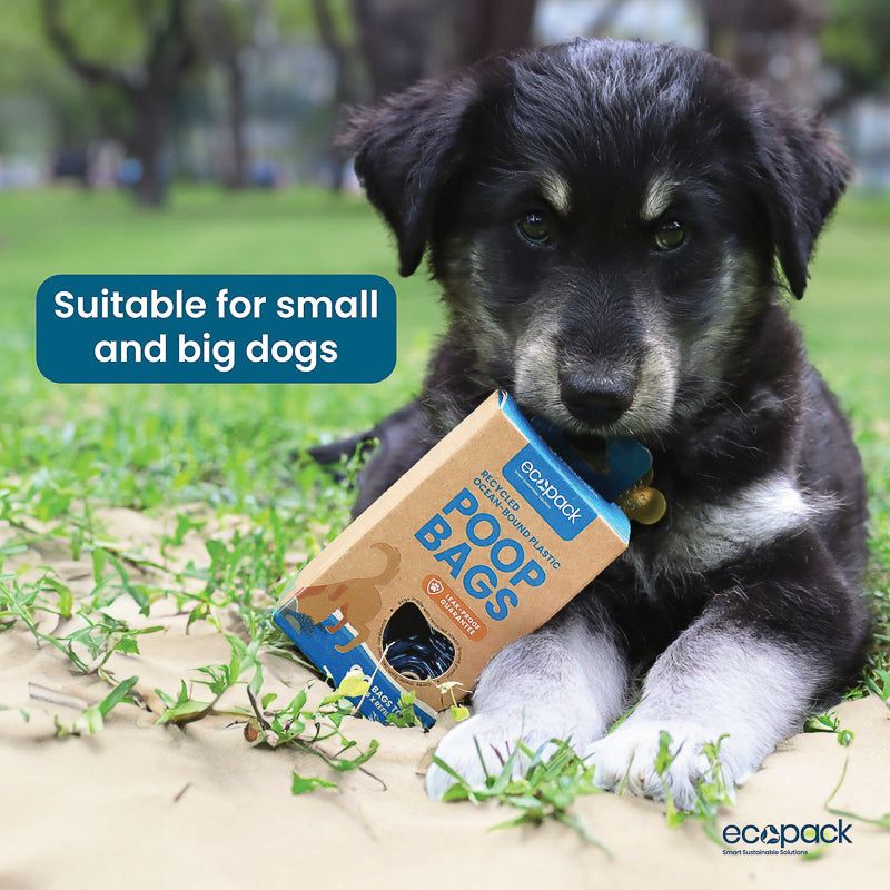 Dog Poop Bags are suitable for small and big dogs